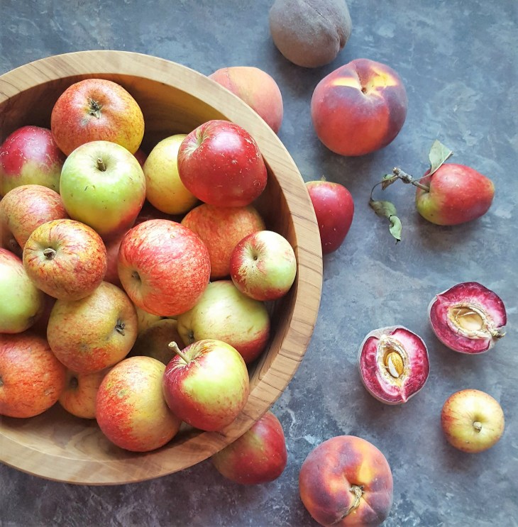 bowl of apples and peaches